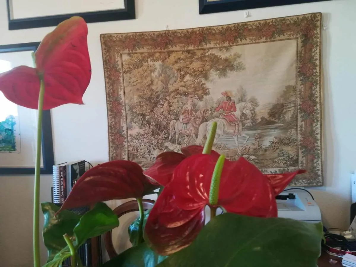 Bed and Breakfast Domus Aurea Oristano Italia